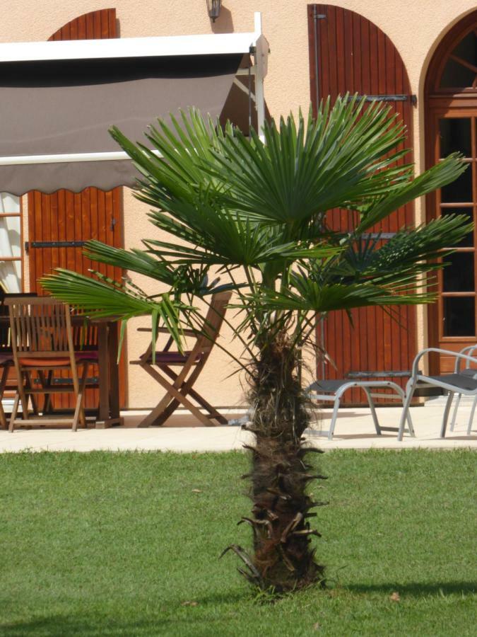 Bed and Breakfast La Mimona Sainte-Eulalie-en-Born Экстерьер фото